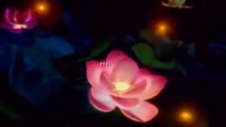 Natasha Sokoloff  ''One Step Closer   To Paradise''