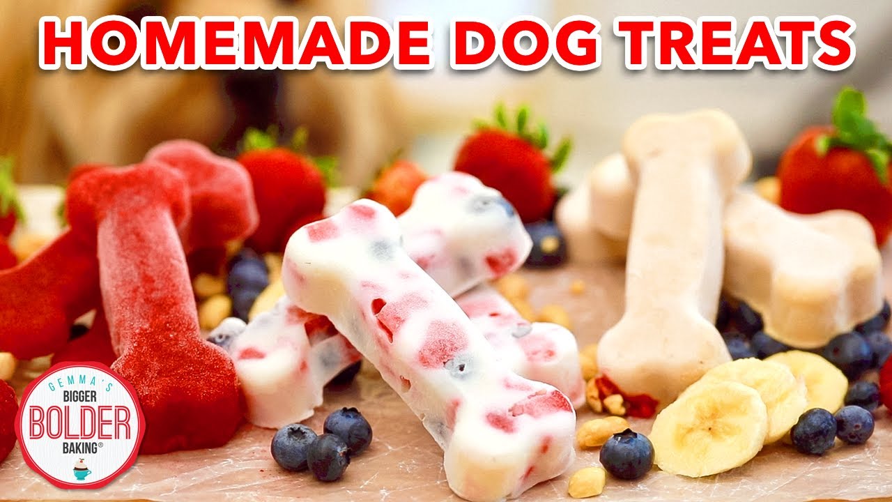 Homemade Dog Treats feat. my Dog, Waffles! ❤️ 🐶