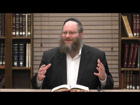 Tanya Chapter 49 Part 3 - Rabbi Naftali Silberberg