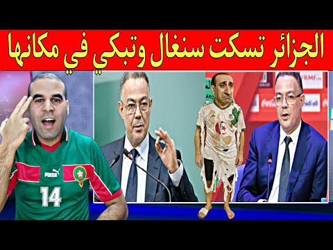 الجزائر تسكت السنغال وتبكي في مكانها هل أصبحت الجزائر مجرد جـ.ـارية في إفريقيا