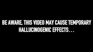 WORMROT ARE BACK (may cause temporary hallucination)