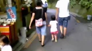 かずら橋　vine bridge[kazura bridge] in Tokushima, Japan 2010