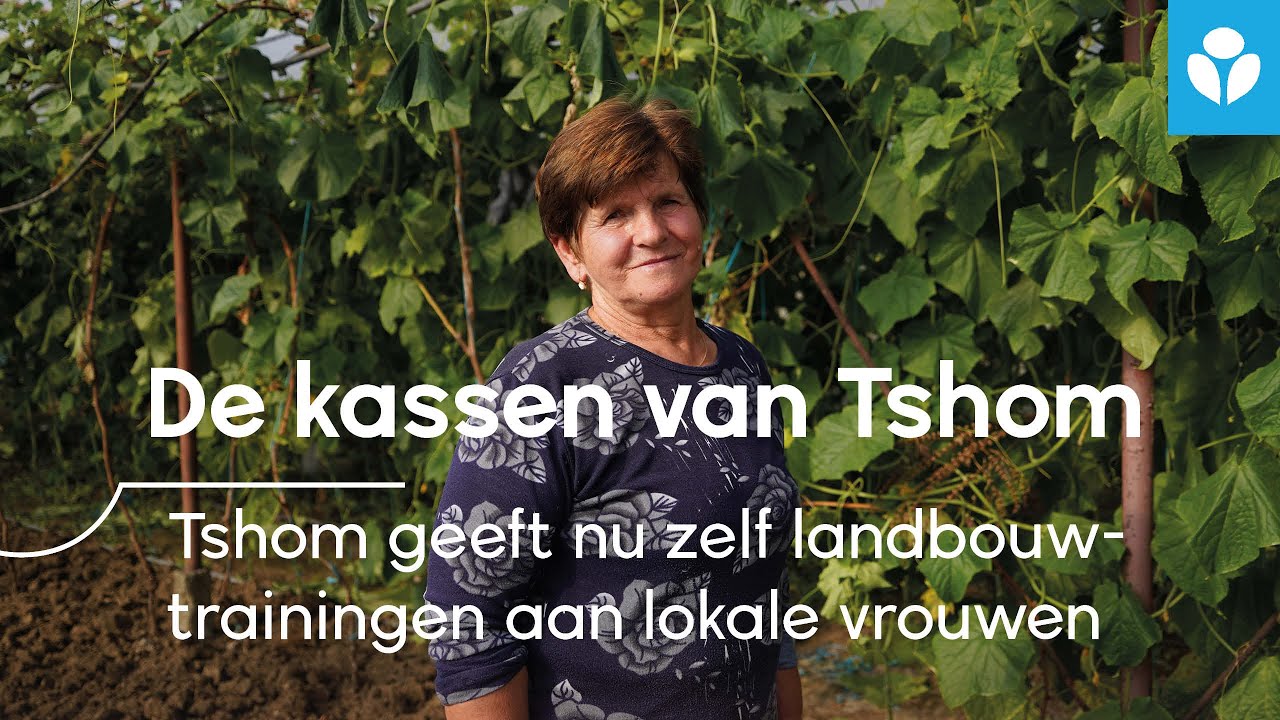 De kassen van Tshom