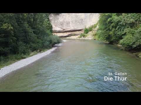 Arbeitseinsatz des Burgenverein "Grafen von Toggenburg" - Ruine Rüdberg 2025
