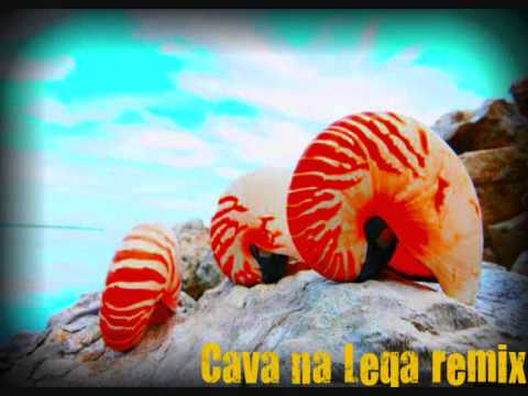 CAva nA LeQa remix