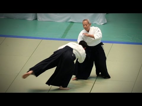 Aikikai Aikido - Endo Seishiro Shihan - 54th All Japan Aikido Demonstration (2016)