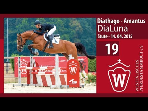 19 DiaLuna  Stute v. Diathago - Amantus
