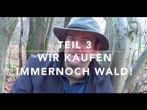 Wir kaufen Wald! Rechte, Pflichten, Waldbau, Finanzielles! (Teil 3/3)