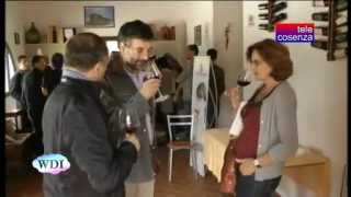 preview picture of video 'Marzi: Cantine Aperte 2012, visita all'azienda Colacino'