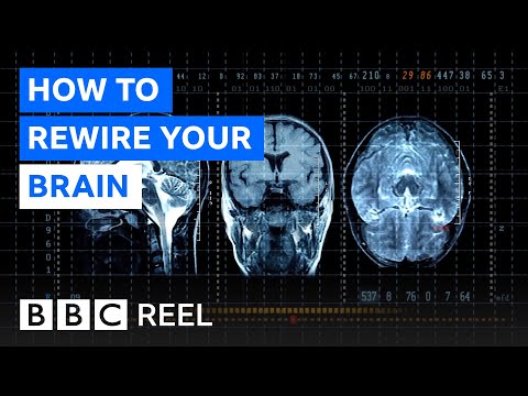 Why you're not stuck with the brain you're born with - BBC REEL
