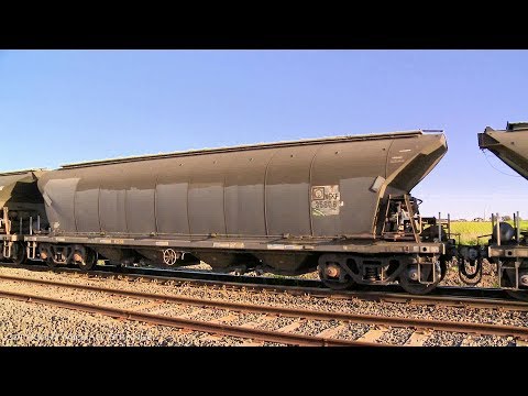 NGKF & NGPF Grain Hoppers On 3CM6 - PoathTV Australian Trains & Railways