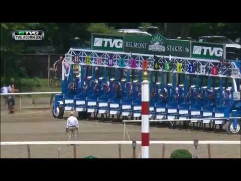 Top 30 Countdown - #15 Acorn (Sweet Reason)