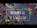 Peter Paul & Mary   Where Have All the Flowers Gone