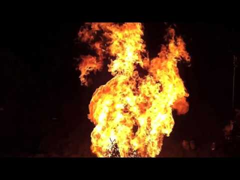 Exploding Eucalyptus