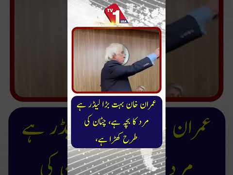 عمران خان بہت بڑا لیڈر ہے مرد کا بچہ ہے