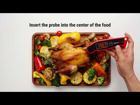 TempPro TP19H Digital Food Thermometer Real-World Video Demonstration