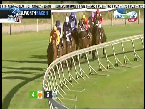 2018.12.15 WSB Premier Trophy (RSA) - Head Honcho