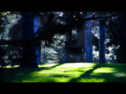 Coleske - Take me where the sun is shining