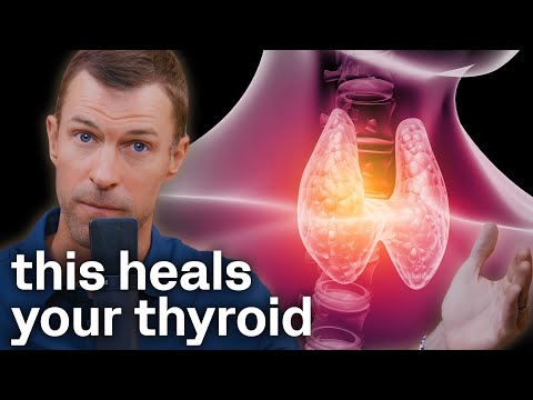 How to Heal Hypothyroidism and Hashimoto's Naturally