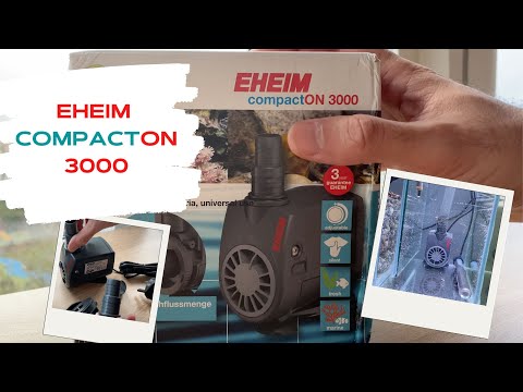 Watch Video on YouTube