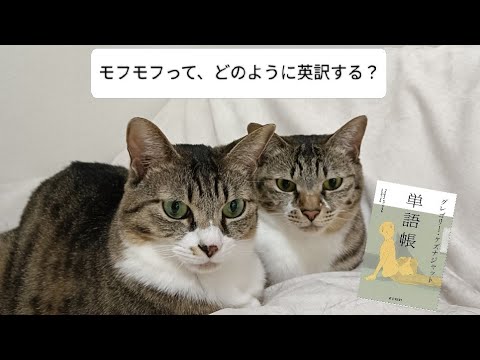 【感想】単語帳/グレゴリー・ケズナジャット　※ネタバレあります