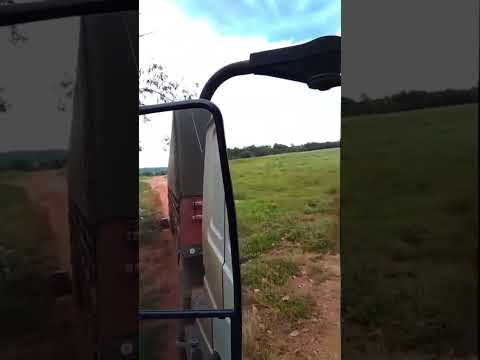 você teria coragem????? estradas de Jatai no go #shortsfeed #goiás #caminhão #113 #caminhoneiro