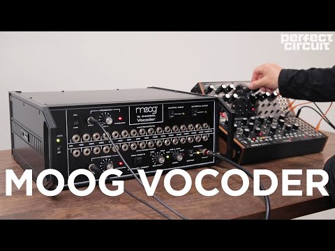 Обзор вокодера Moog 16 Channel Vocoder