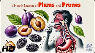 Download lagu Plums vs. Prunes: 7 Amazing Benefits You Need to Know! mp3 Download lagu Plums vs. Prunes: 7 Amazing Benefits You Need to Know! mp3