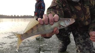 Рыбалка в зиброво на оке