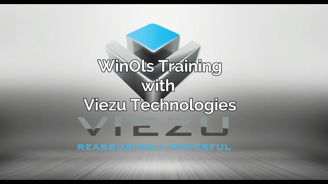 EVC WinOls Training by Viezu - learn how to tune cars with WinOls software