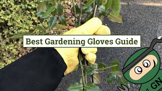 Gardening Gloves Reviewed: the best 4 glove types for garden