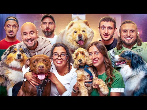 Les rencontrent de chiens #2 feat Max Biaggi, Styleto, Kyan, Melha et Tony