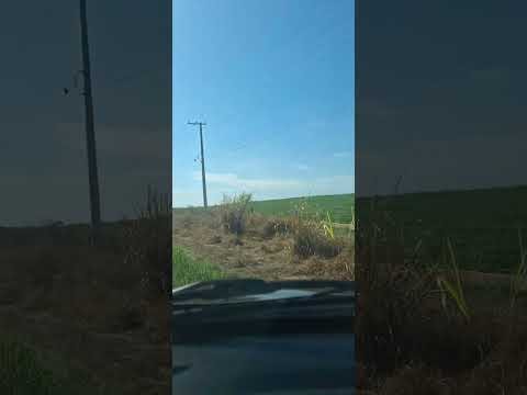 Voltando do interior de São Paulo.  ( Guaimbê a sampa. Minha esposa dirigindo).