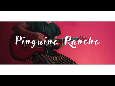 Pinguino Rancho video