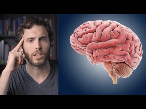 cómo ser más INTELIGENTE siguiendo un consejo muy simple