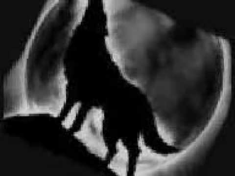 Axter D.J. feat . Fairy - THE WOLF -BRUNO LE KARD vrs..wmv