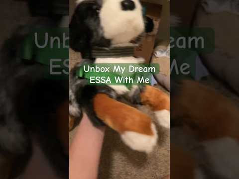 Unbox My Dream ESSA With Me! || #esa #essa