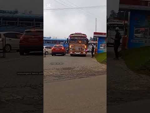 #capcut "සෑම විටම ඔබේ ජයග්‍රහණ වල ලොකුම රසිකයා ඔබම වෙන්න..! "❤️💐🫶