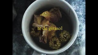 té de girasol (cortometraje)