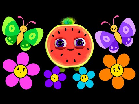 Funky Fruits Baby Sensory | Summertime Dance - Colours, music and fun animation!