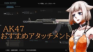ガンスミスではあるONEちゃんのCODMW