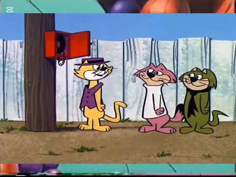 Kiara in wonderland (ITA) part 19 The Cheeky Cat appeared again