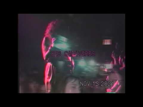 Ces Cadáveres live 11/13 at Synthicide