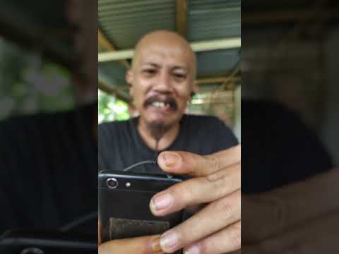 bokepers-ucox-bongax-shorts