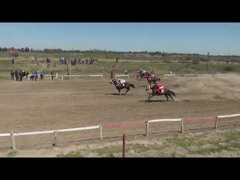 MOLOTOV  Club Hipico "Los Olivillos" -   Chimpay  -15/ 10/ 2022