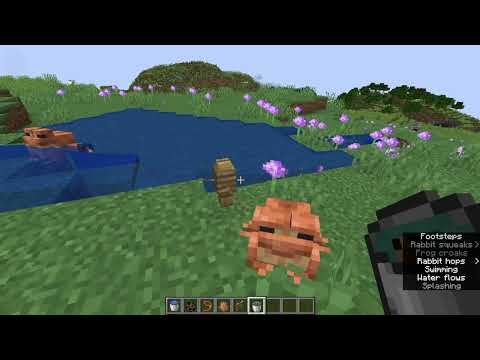 How to TAME Frogs and Tadpoles in Minecraft | The Wild 1.19 Update