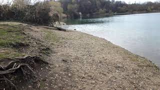 VID 20210416 185412 casino www casinolistem com beulenforum nachfolger wwxx defiantpanda leak willik