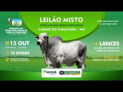LEILÃO MISTO - SINDICATO DOS PRODUTORES RURAIS DE CARMO DO PARANAÍBA/MG - 15/10/2026