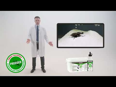 Миниатюра изображения товара Порошок от насекомых Proxider От клопов Bio Дуст на маршалите и Sio2 (0.5л/130г)