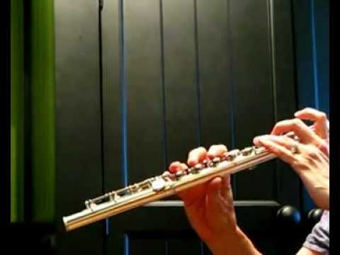 Yamaha 681 (784) Professional Used Flute - Demo of High Register